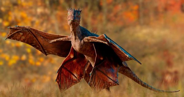 Career Advice: Working as a 3D Artist in MPC Film's Character Lab